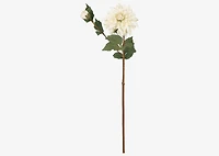 Meg Dahlia Branch Ivory