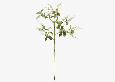 Kimi Japanese Knotweed White