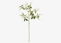 Kimi Japanese Knotweed White