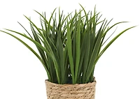 Edyn Grass Potted