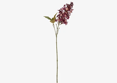 Myrna Lilac Stem Bordeaux