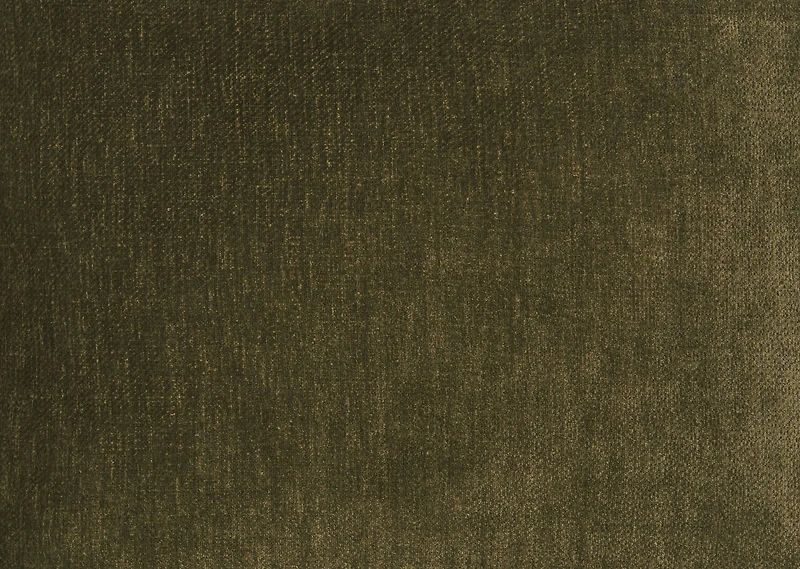 Louella Chair -Ara Olive