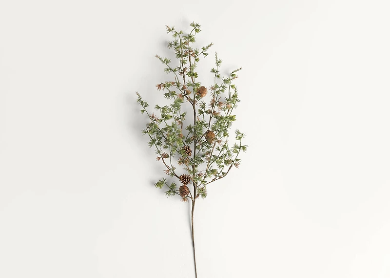 Sapling Pine Spray Branch