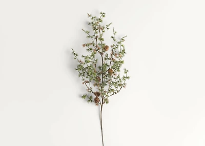 Sapling Pine Spray Branch