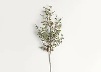 Sapling Pine Spray Branch