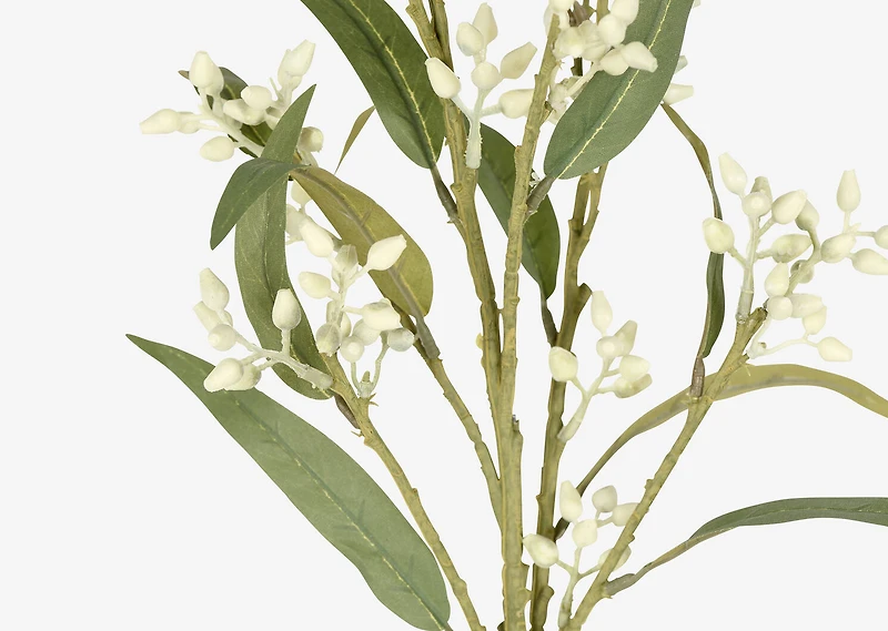 Dana Budding Eucalyptus Branch White