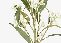 Dana Budding Eucalyptus Branch White
