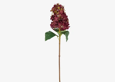 Beth Cone Hydrangea Stem Red