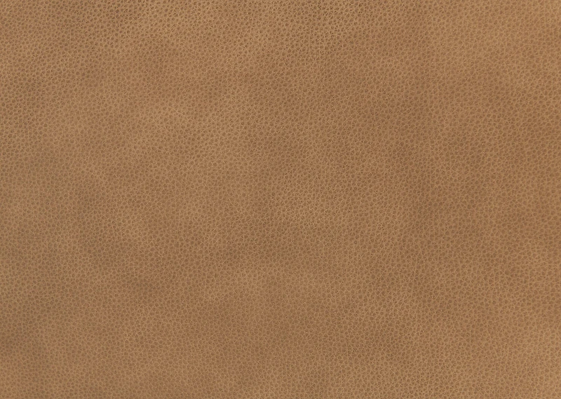 Montana Dining Chair -Lakeshore Tan
