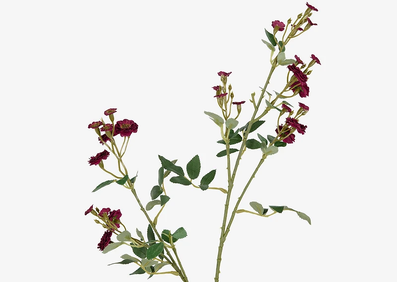 Matilda Rose Branch Red