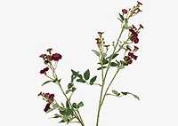 Matilda Rose Branch Red