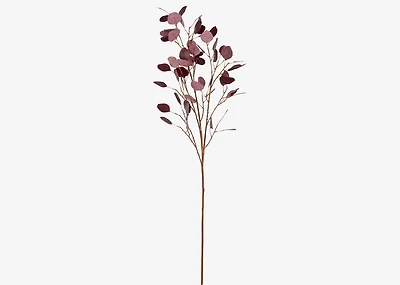 Amos Eucalyptus Branch Red