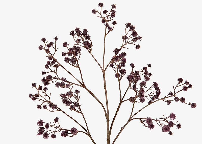 Bramwell Branch Burgundy