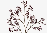 Bramwell Branch Burgundy