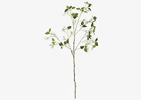 Desi Bougainvillea Branch White