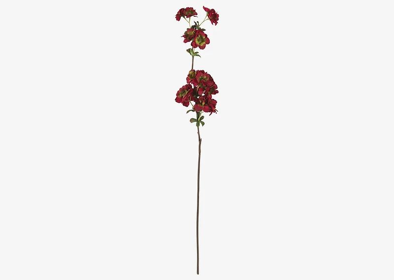 Ricki Autumn Blossom Stem Red