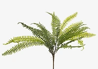 Jylan Long Fern Bunch