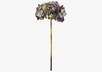 Gretel Hydrangea Stem Purple