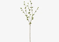 Creek Spring Leaf Branch
