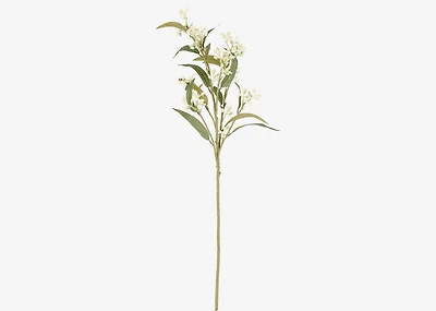 Dana Budding Eucalyptus Branch White