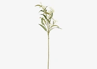 Dana Budding Eucalyptus Branch White