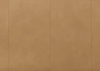 Cowan Leather Sofa -Vana Camel