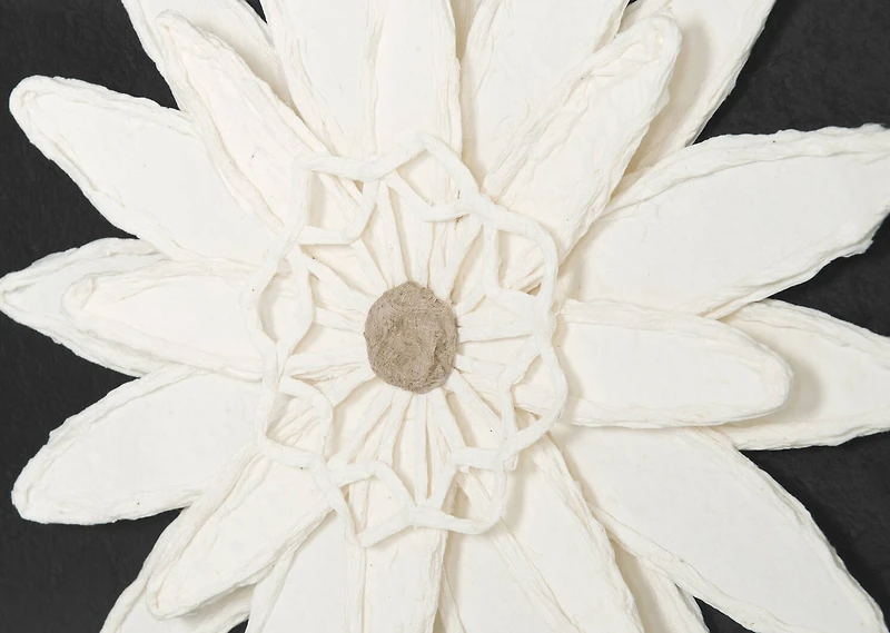 Daisy Paper Flower Wall Accent