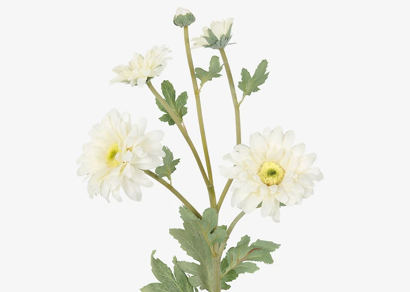 Vera Chrysanthemum Branch White