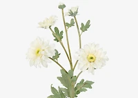 Vera Chrysanthemum Branch White