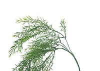 Bray Snapdragon Branch