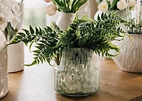 Australia Fern Branch