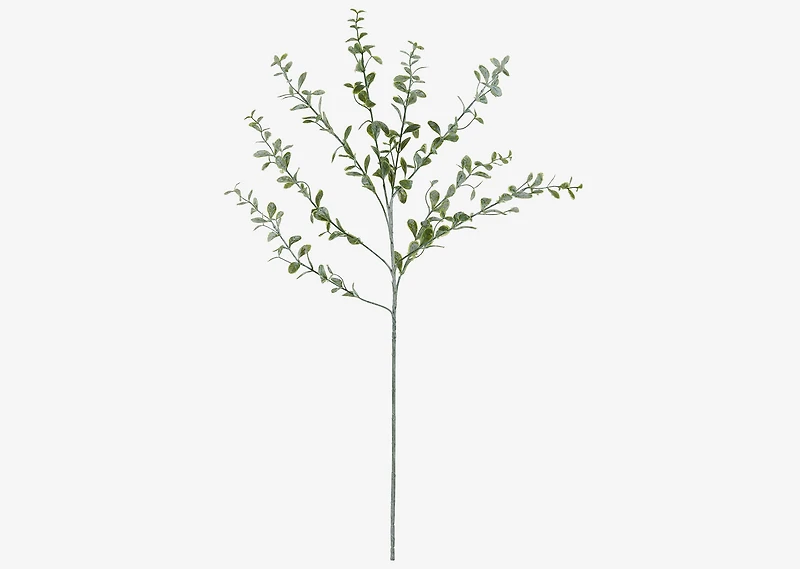 Linnea Leaf Branch
