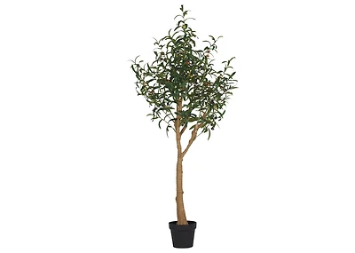 Tristin Olive Tree Potted Large