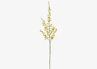 Liza Dancing Orchid Branch Yellow