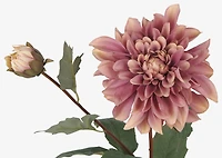 Meg Dahlia Branch Pink