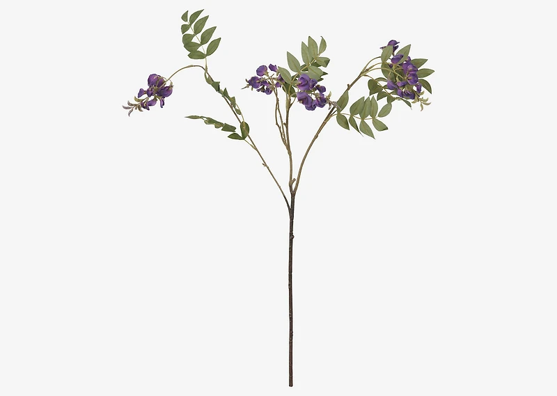Byer Wisteria Branch Purple