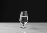 Sterling Goblet Glass Clear