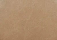 Mirau Sw Counter Stool -Bellissimo Tan