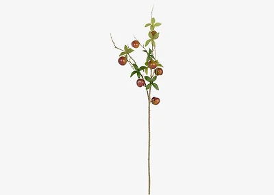 Kori Plum Branch Brown