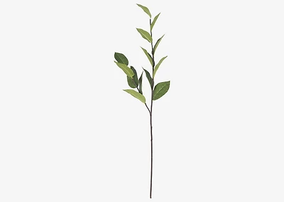 Ada Apple Leaf Branch