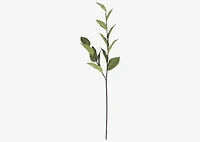 Ada Apple Leaf Branch