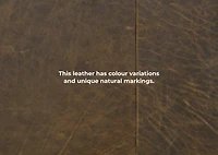 Marcello Leather Armchair -Waco Tobacco