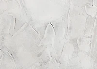 Intwine Wall Art