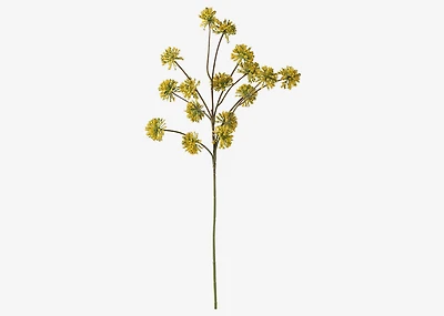Wild Angelica Branch Yellow