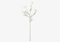 Elana Anemone Stem White