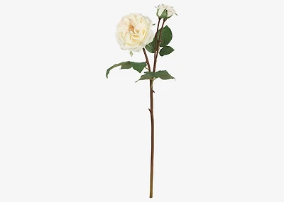 Talia Rose Branch White