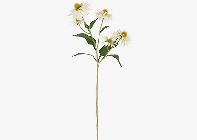 Cate Echinacea Stem Ivory