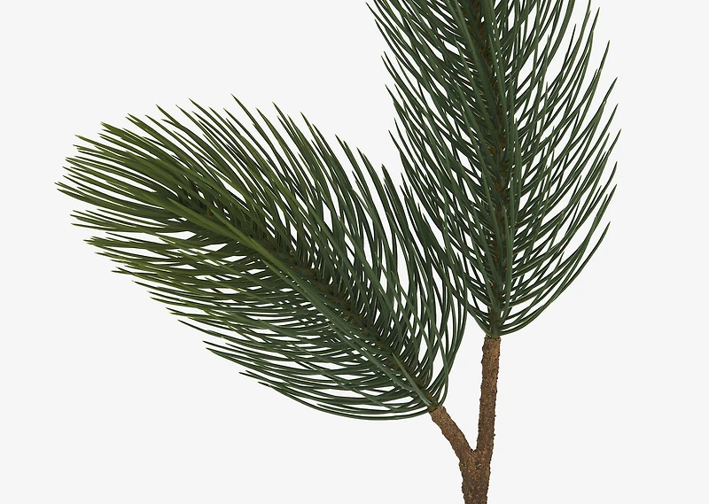 Konos Jumbo Pine Branch