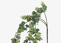 Marla Hanging Eucalyptus