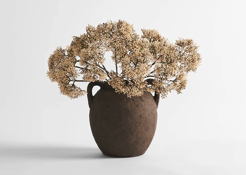 Beare Elderberry Stem Natural